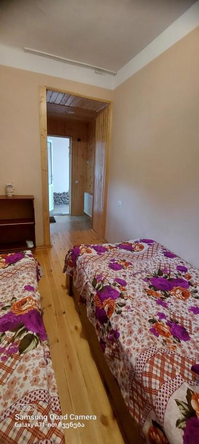 Guest House Sabauri Stepancminda Zewnętrze zdjęcie