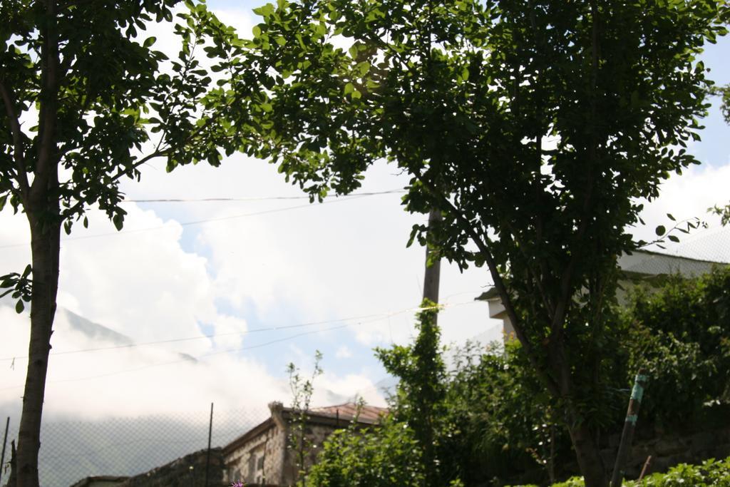Guest House Sabauri Stepancminda Zewnętrze zdjęcie